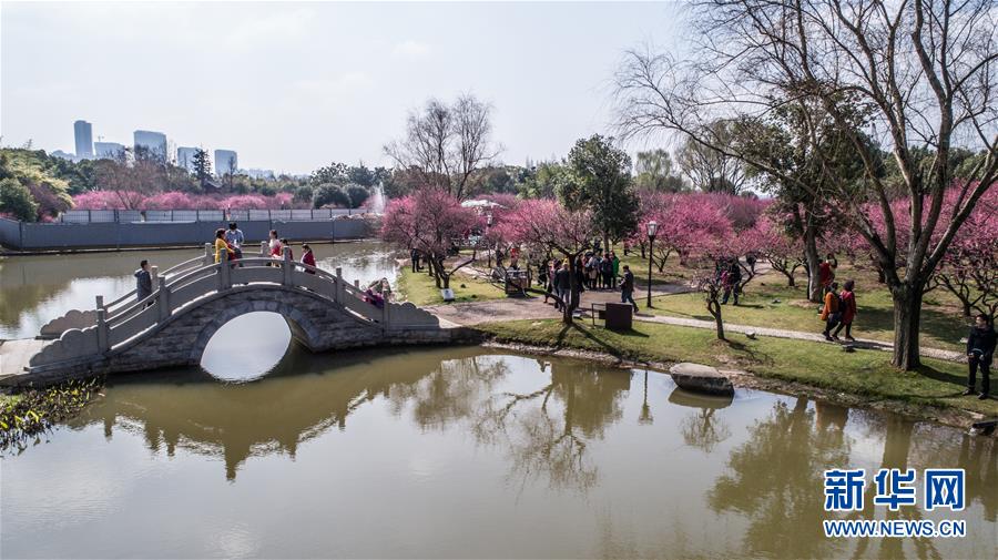 （環(huán)境）（1）梅花滿園引客來