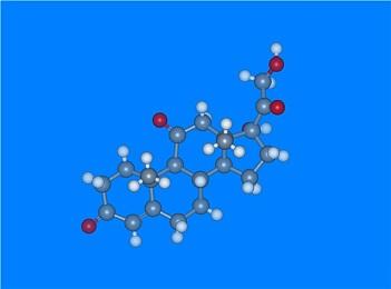 腦內(nèi)雌激素生成酶的表達(dá)量與性格氣質(zhì)密切相關(guān)